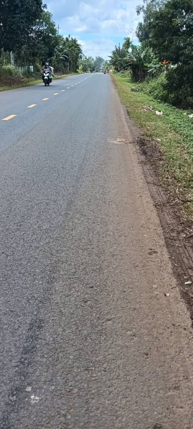 Đất thổ cư 100% tại Cư Dliê M'nông 3094m² giá chỉ 245 triệu - Đầu tư sinh lời ngay!