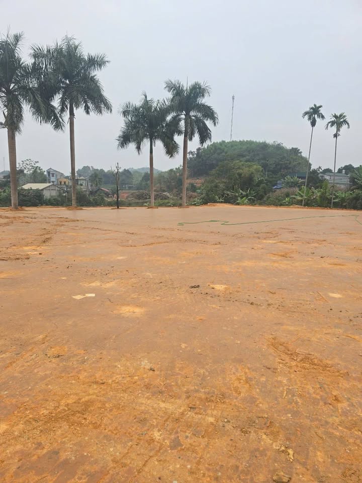 Đất nền 4500m² tại Thái Long, Tuyên Quang - Đầu tư kinh doanh sinh lời!