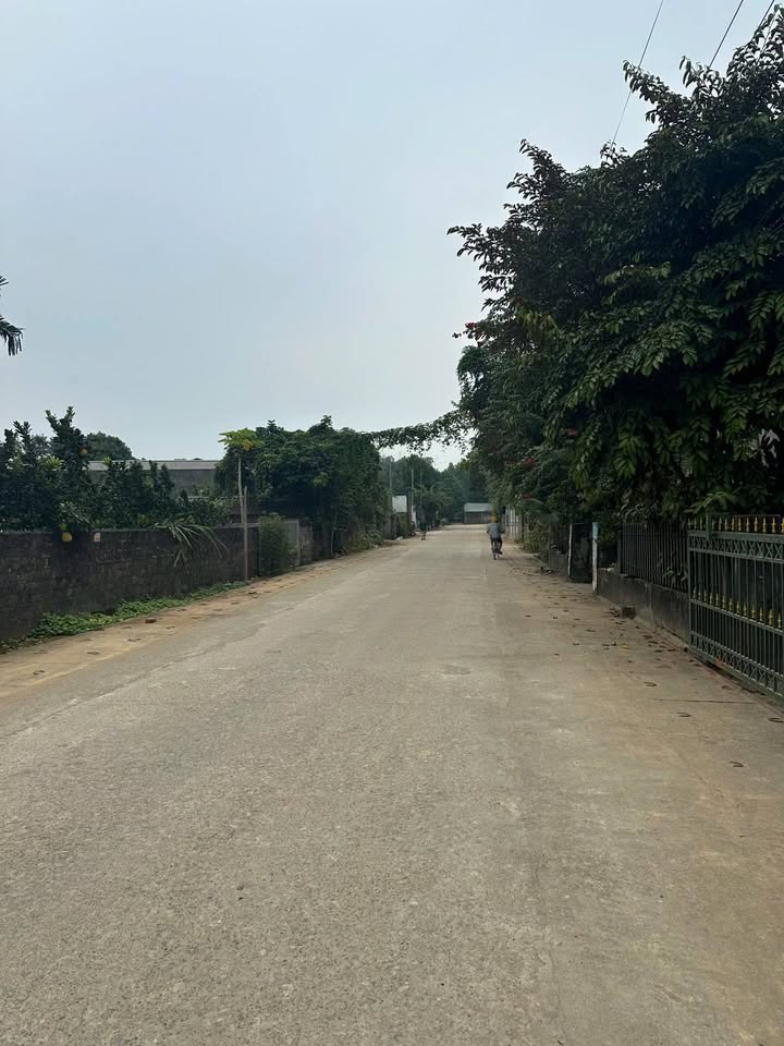 Đất nền Kim Phú, Tuyên Quang 112m² giá đầu tư - Pháp lý rõ ràng