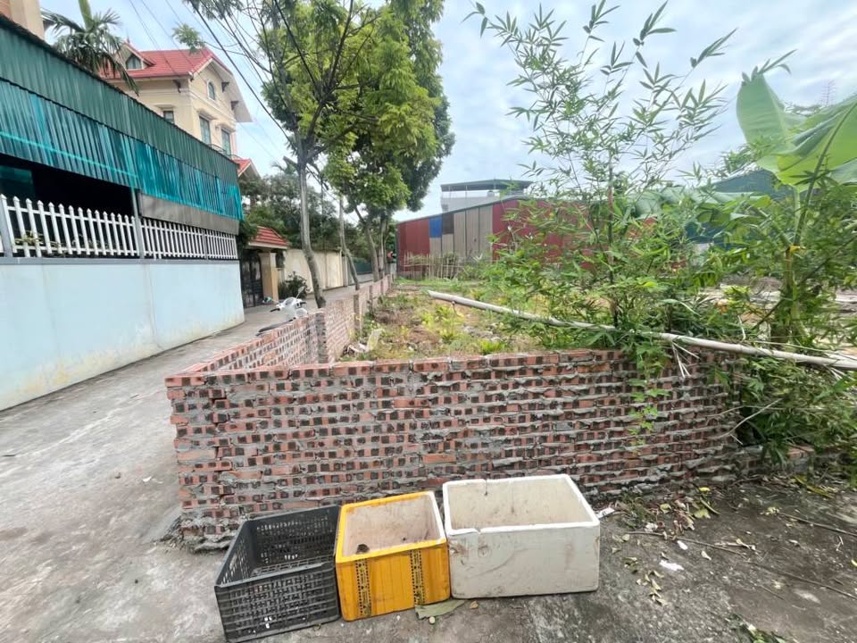 Đất đẹp 54m² ngay cạnh Tecco Thanh Trì chỉ 5 tỷ - Cơ hội đầu tư tuyệt vời!