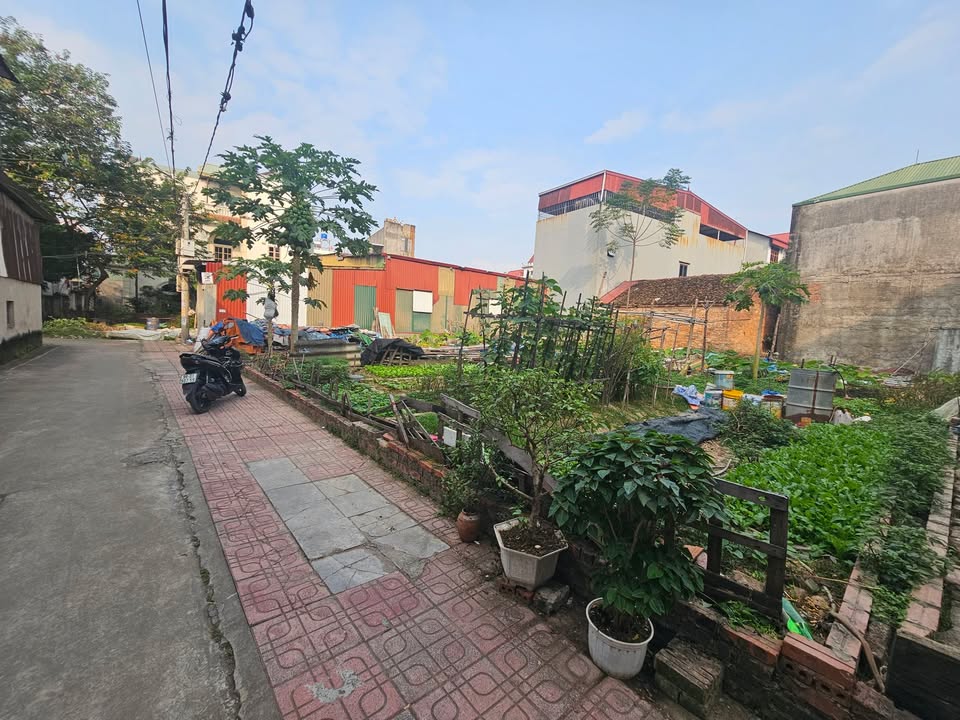 Đất nền Phù Khê, Từ Sơn 85m² giá 2 tỷ - Tiện ích đầy đủ, sẵn sàng giao dịch!