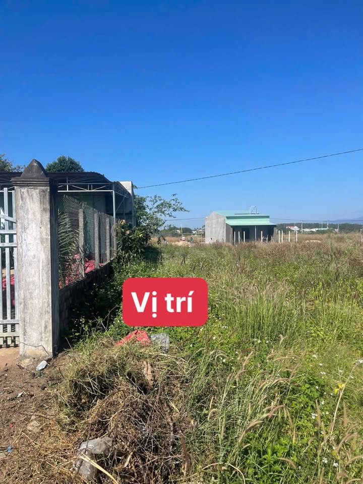 Đất nền mặt tiền đường Quy Hoạch số 9 Đắk Hà 255m² - Cơ hội đầu tư hấp dẫn!