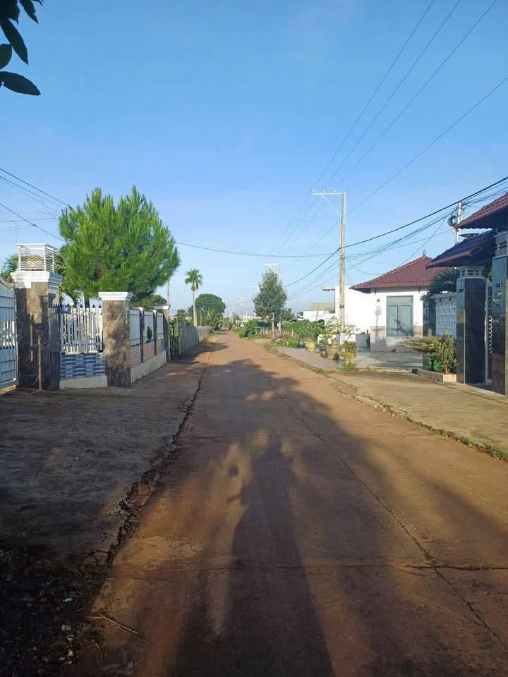 Đất nền Tân Hội - Đức Trọng 590m² giá chỉ 1,3 tỷ - Cơ hội đầu tư hiếm có!