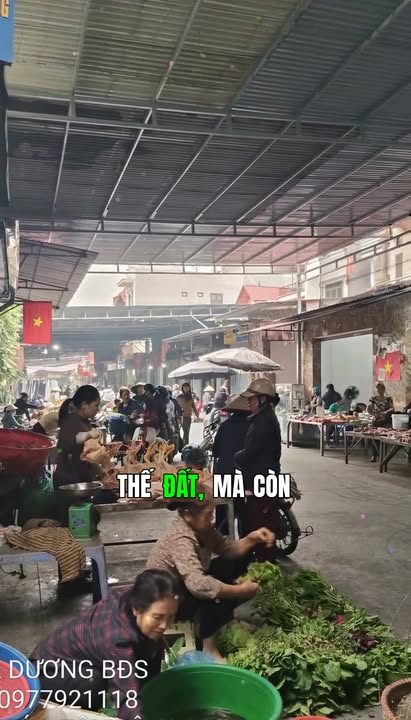 Đất nền Thái Phù - Mai Đình 85m² giá 3 tỷ - Cơ hội đầu tư không thể bỏ lỡ!