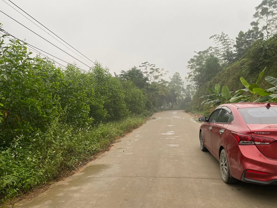 Đất thổ cư Đông Lĩnh, Thanh Ba 600m² giá 1 tỷ - Đầu tư sinh lời ngay!