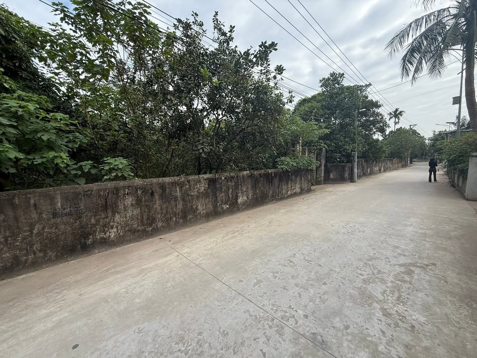 Đất thổ cư 100m² xã Đông Tảo, Khoái Châu - Đường ô tô tránh nhau, đầu tư sinh lời!