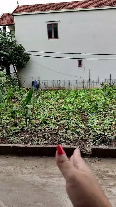 Đất thổ cư 80m² tại Triệu Việt Vương, Hưng Yên - Giá 2.69 tỷ, thương lượng ngay!