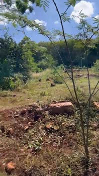 Đất nền 16.200m² tại Hớn Quản - Giá chỉ 1,1 tỷ - Tiềm năng sinh lời cao!