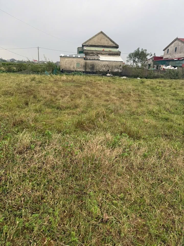 Đất thổ cư Kỳ Khang, 336m² giá chỉ 1 tỷ - Cơ hội đầu tư tuyệt vời!