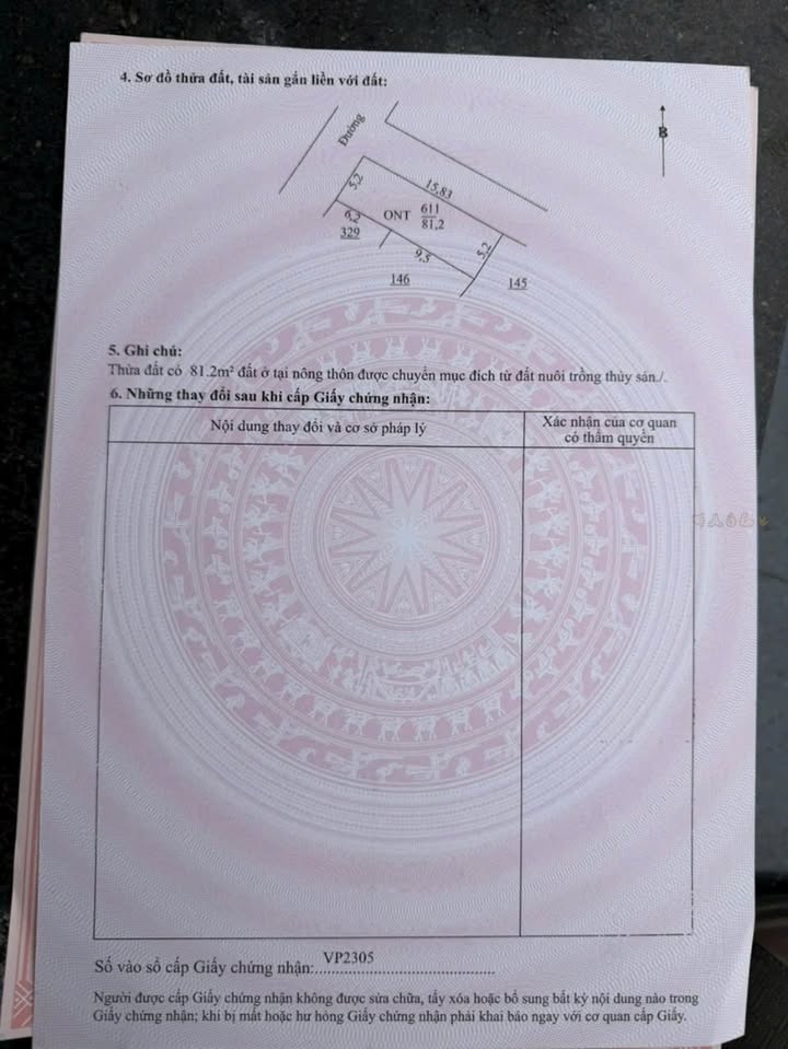 Đất nền góc 81.2m² tại Quất Lâm giá chỉ 1.5 tỷ - Vị trí đắc địa cho kinh doanh!