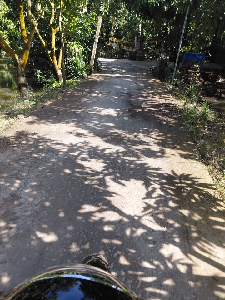 Đất vườn Tân Thuận Tây 2300m² giá 1.1 tỷ - Mặt tiền đường thuận tiện!