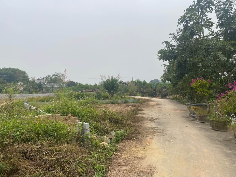 Đất nền Phúc Xuân Thái Nguyên 108m² giá 1 tỷ - Đầu tư sinh lời hấp dẫn!