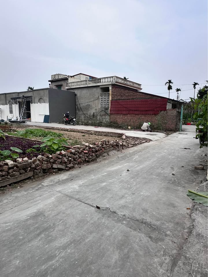 Đất Kiều Hạ 1, Quốc Tuấn, An Dương 50m² - Ngõ ô tô vào tận nơi!