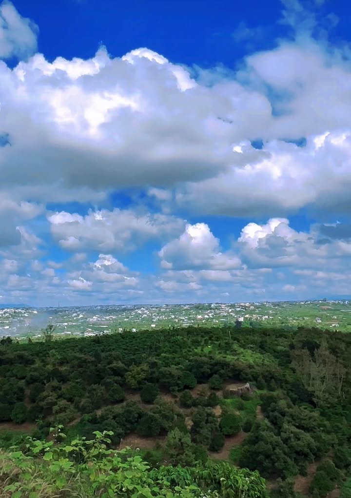 Đất vàng thôn 16 Lộc Thành 26.570m² giá 18.6 tỷ - View đỉnh hướng trung tâm Bảo Lộc!