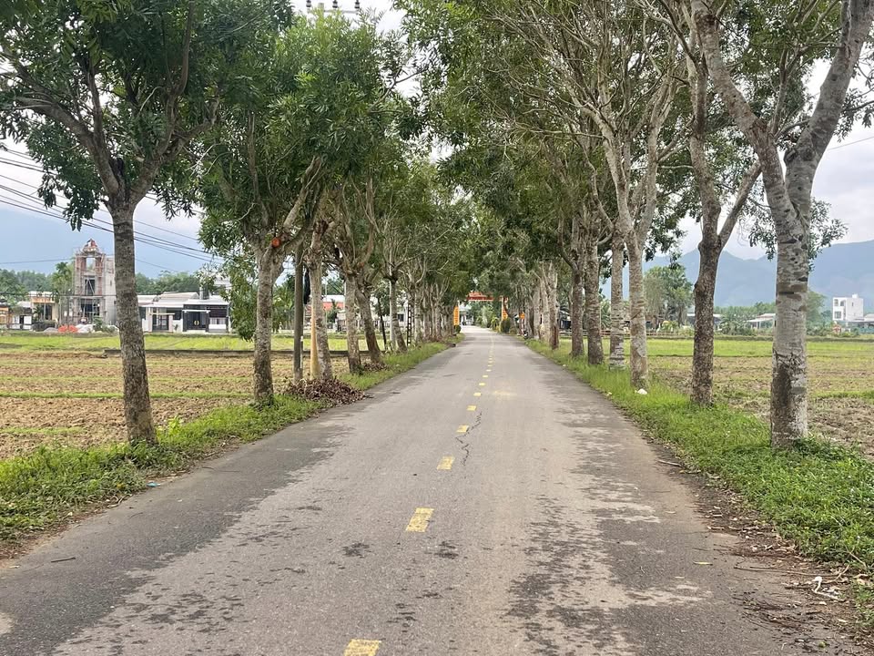 Đất nền thổ cư Thôn Thái Lai, xã Bà Nà 185m² giá 1.1 tỷ - Đầu tư sinh lời dài hạn!