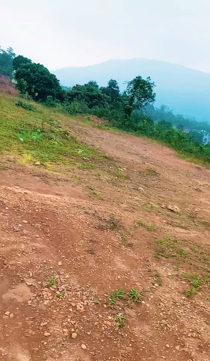 Đất nền nghỉ dưỡng Phú Cát Quốc Oai 1,6ha giá 16 tỷ - Pháp lý rõ ràng, view đẹp!