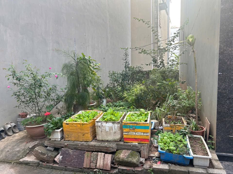 Đất nền Liên Mạc Bắc Từ Liêm 48m² - Sổ đỏ chính chủ, giá đầu tư hấp dẫn!