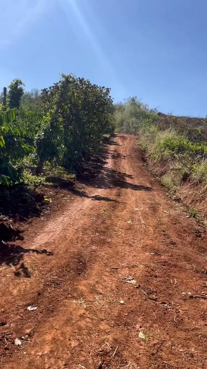 Đất Farm 1.2ha Thôn 8, Ea Khal, Đắk Lắk giá 1.75 tỷ - Cơ hội đầu tư hấp dẫn!