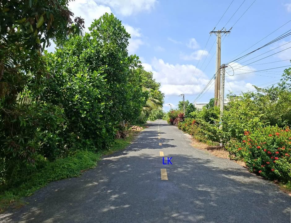 Đất nền 750m² tại xã Tân Hội Trung, Đồng Tháp - Giá chỉ 1.2 tỷ, thương lượng!