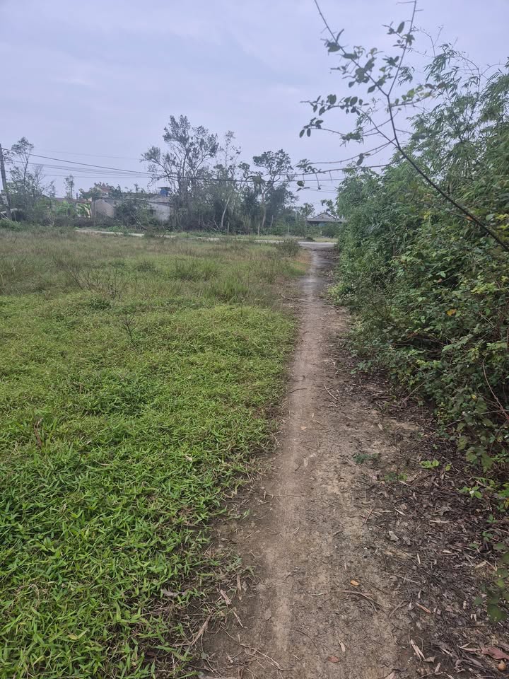 Đất thổ cư Tây Long, Thiên Cầm 375m² giá chỉ 500 triệu - Cơ hội đầu tư hấp dẫn!