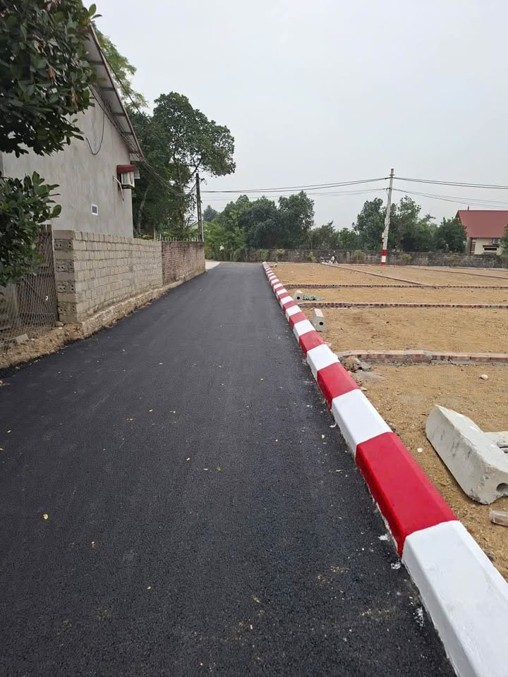 Đất nền Cẩm An, Lương Sơn 100m² giá chỉ 800 triệu - Đất cao ráo, chính chủ bán nhanh!