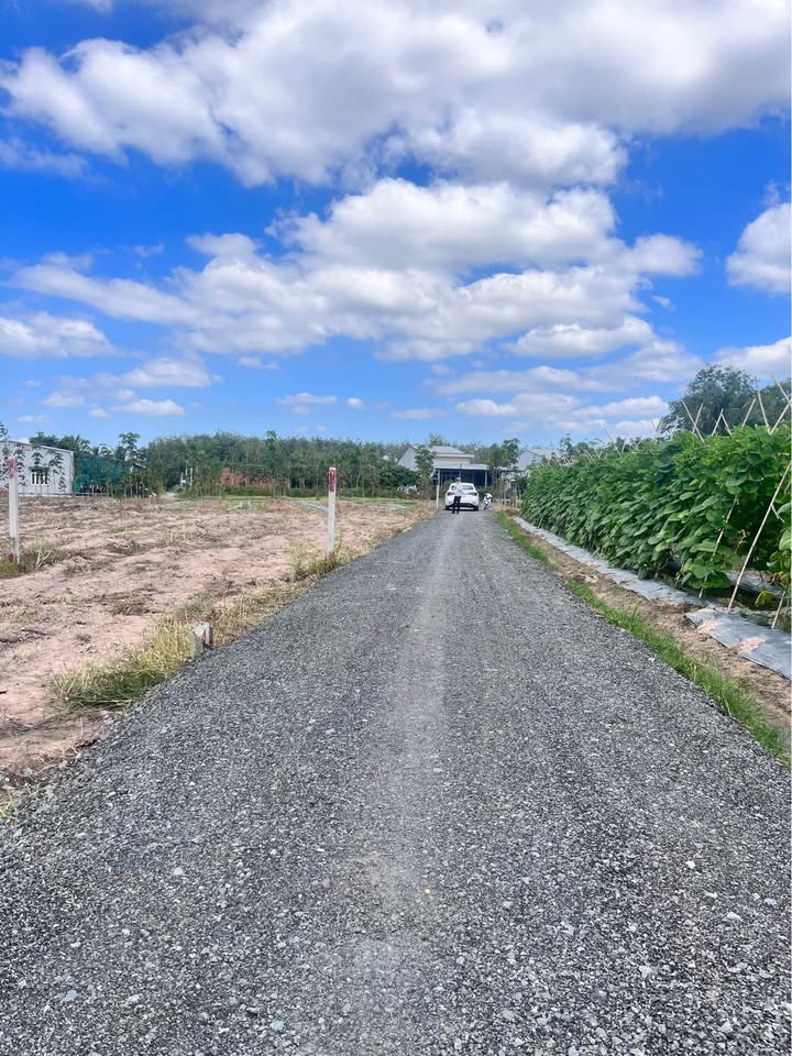 Đất nền Gò Dầu Tây Ninh 654,5m² giá 700 triệu - Sổ hồng riêng, ô tô vào tận nơi!