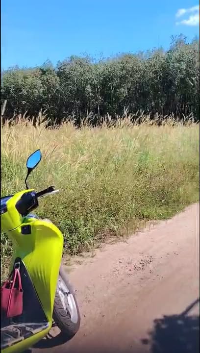 Đất thổ cư 225m² tại Tân Phú, Bình Phước chỉ 200 triệu - Cơ hội đầu tư hấp dẫn!