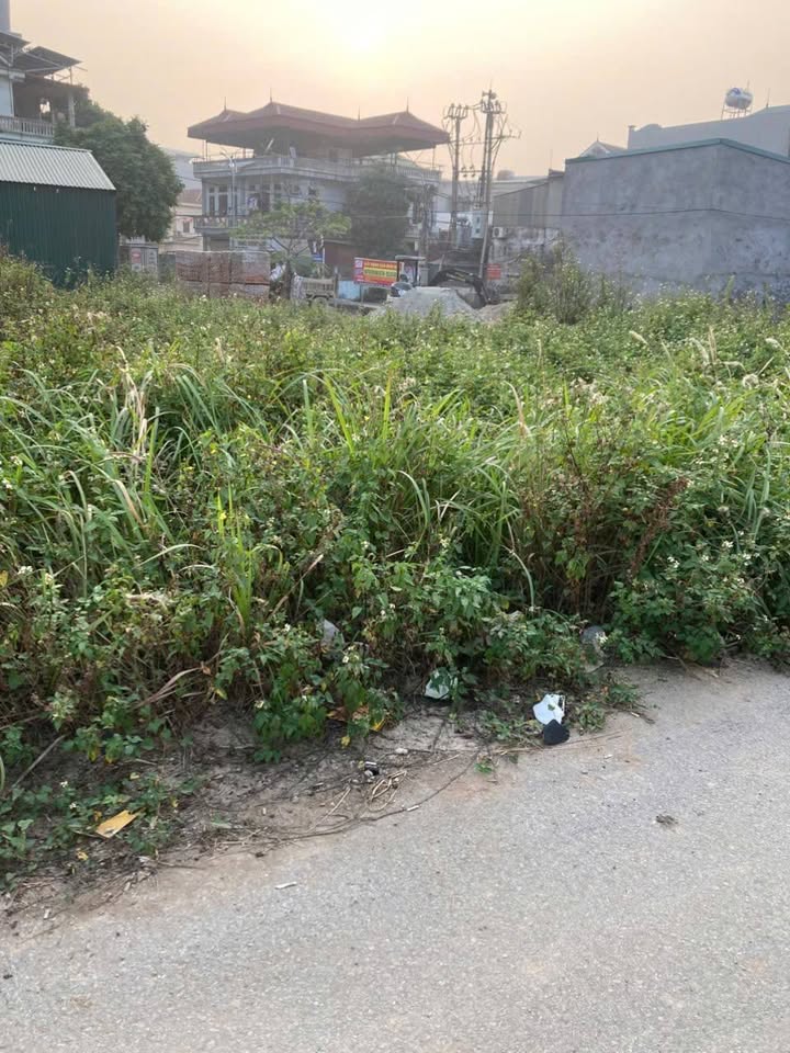 Đất nền Khu Tái Định Cư Di Trạch 129.4m² giá thỏa thuận - Đầu tư sinh lời cao!