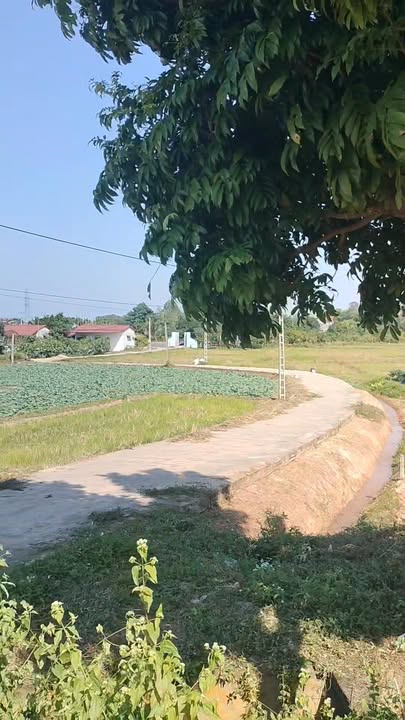 Đất thổ cư tại Ngọc Thiện, Tân Yên 90m² chỉ 700 triệu - Đầu tư sinh lời ngay!