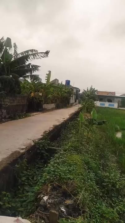 Đất nền K3 Kim Ngọc, Hoàng Mai, 144m² - Đầu tư sinh lời ngay!