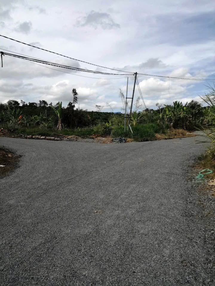 Đất nền Lộc Nga B'Lao 100m² giá 950 triệu - Hướng đẹp, 2 mặt tiền