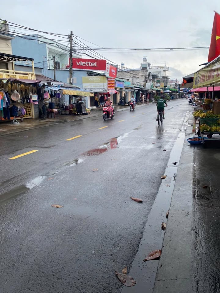 Đất nền Bình Chánh 185.5m² giá 8 tỷ - Đầu tư sinh lời ngay!