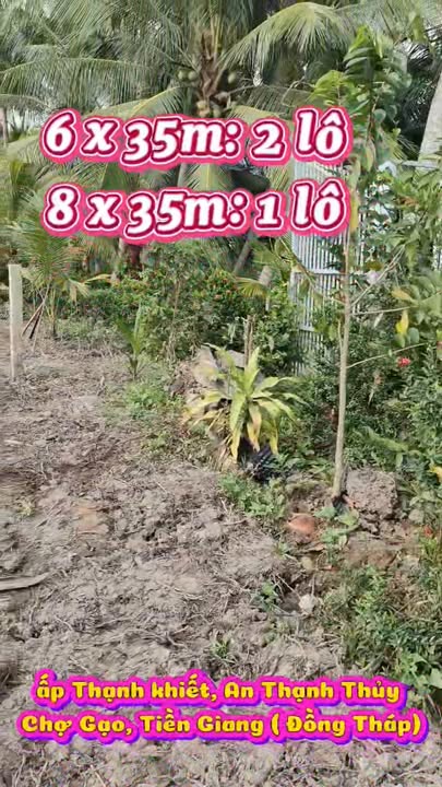 Đất thổ cư Ấp Thạnh Khiết 210m² giá từ 275 triệu - Hướng ra tỉnh lộ 877!