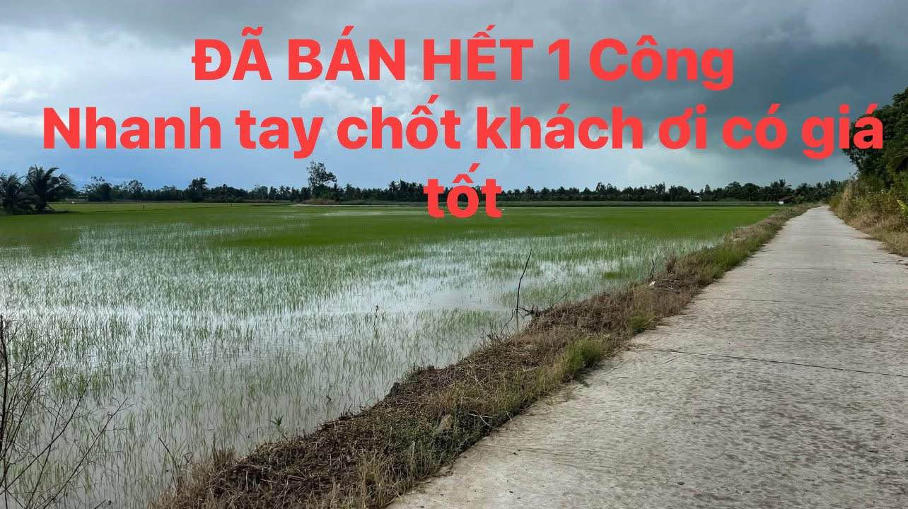 Đất mặt tiền đường Đà Lộ, xã Tân Thạnh, 36000m² giá 250 triệu - Cơ hội đầu tư hiếm có!