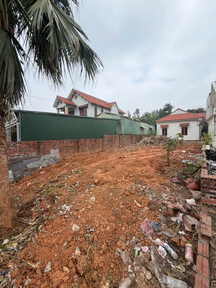 Đất ở đảo Tuần Châu 200m² giá 4 tỷ - Vị trí đắc địa gần trung tâm!