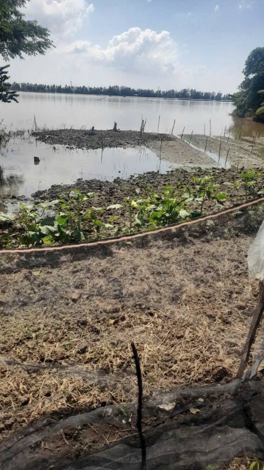 Đất nông nghiệp 28 công tại Định Mỹ, Thoại Sơn - Chỉ 135 triệu/công!