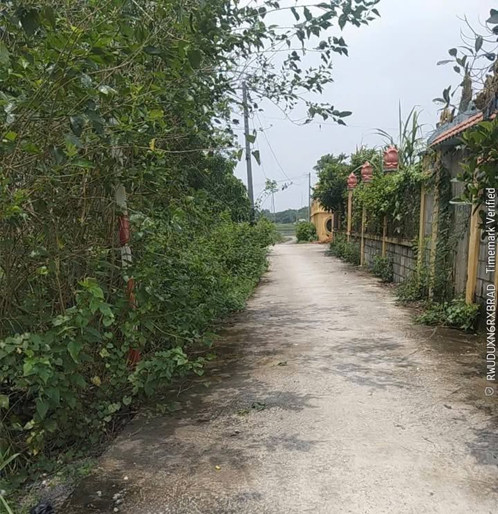 Đất nền Đức Hòa Hạ 120m² giá 870 triệu - Cơ hội đầu tư hấp dẫn!