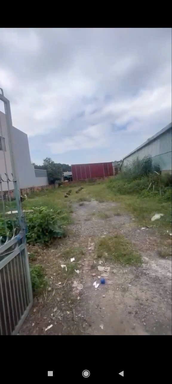 Đất Ấp 4 Đông Thạnh, Hóc Môn 387m² giá 13 tỷ - Mặt tiền đường nhựa thuận lợi!