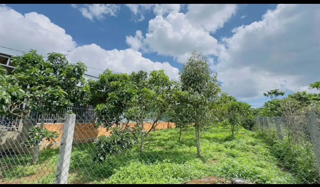 Đất thổ cư 1028m² tại hẻm 177 Nguyễn Đình Chiểu, Bảo Lộc - Giá chỉ 3.95 tỷ!