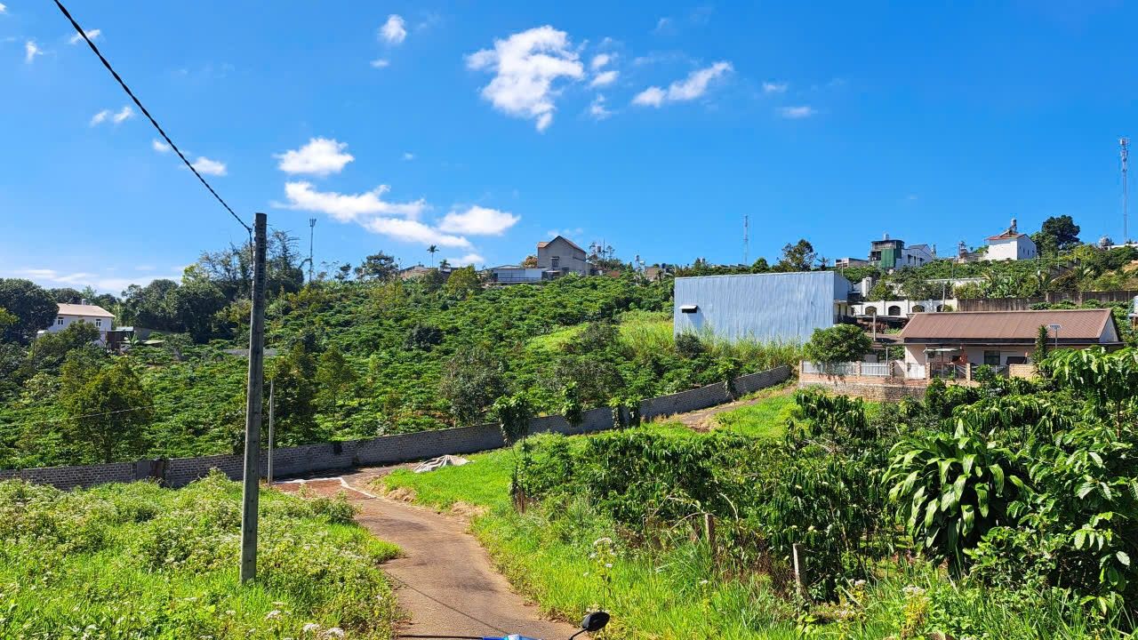 Đất nền Hẻm 278 Mạc Đĩnh Chi, Bảo Lộc 230m² - Đường ô tô vào tận nơi!