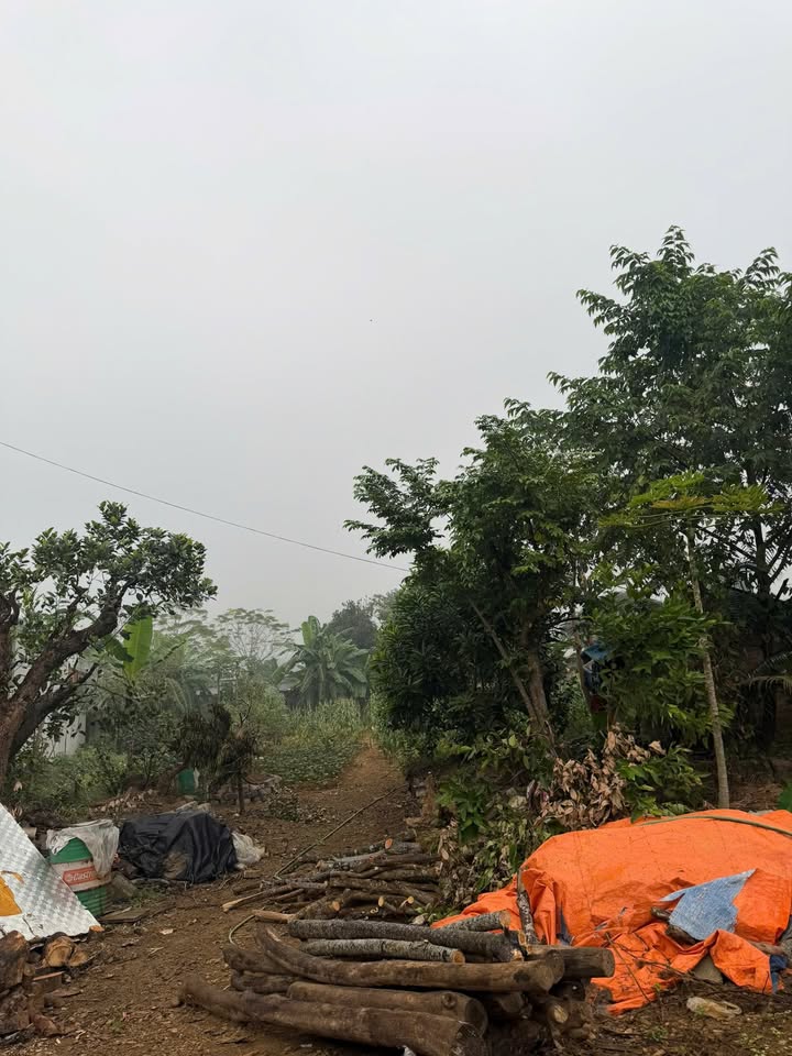 Đất nền đầu tư KCN Nhuận Trạch 1700m² giá chỉ 4 triệu/m² - Cơ hội hiếm có!