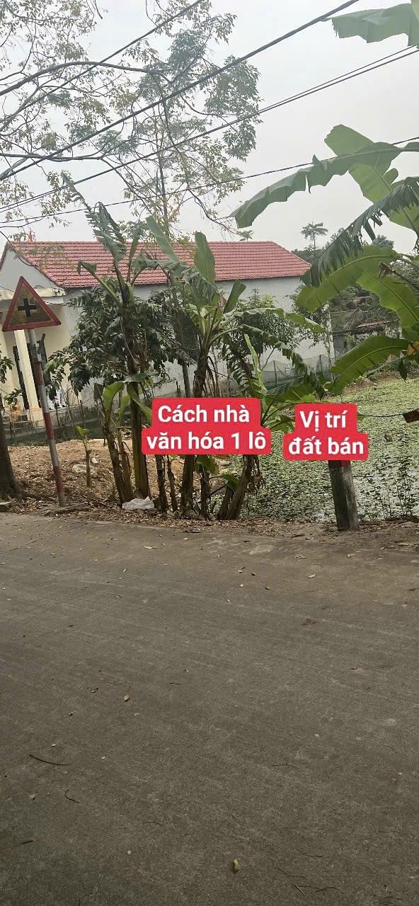 Đất nền Thanh Lạc Nho Quan 99m² giá 590 triệu - Đường trục ô tô 2 làn rộng rãi!