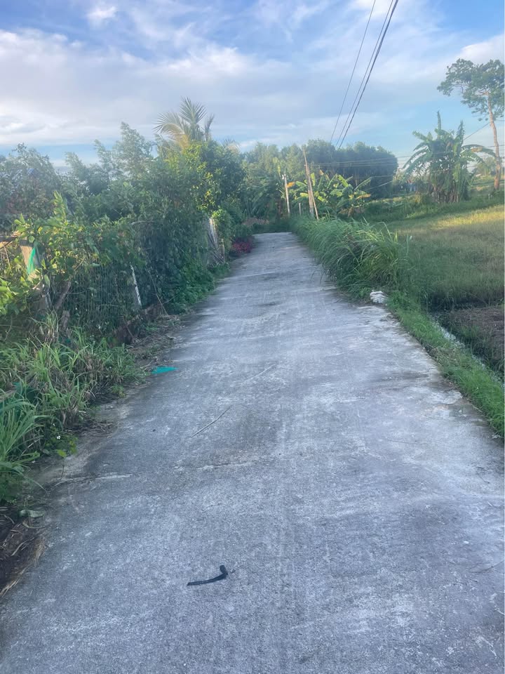 Đất ở Duy Xuyên 1310m² giá tốt - Đầu tư sinh lời ngay!