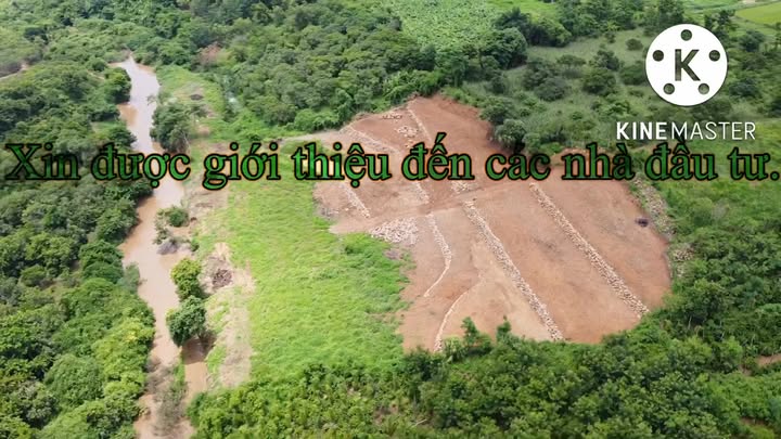 Đất nền Tâm Thắng, Cư Jút 8.600m² giá chỉ 2.25 tỷ - Đầu tư sinh lời hấp dẫn!