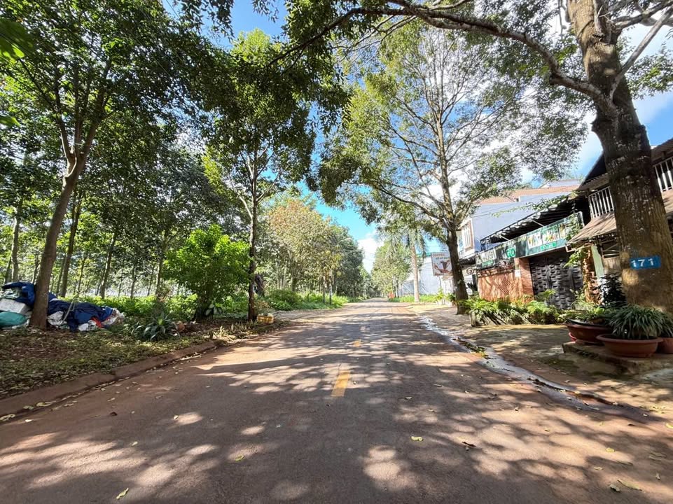 Đất mặt tiền Y Linh, Tân Hoà, 120m² giá 3.85 tỷ - Pháp lý rõ ràng, thương lượng nhẹ!