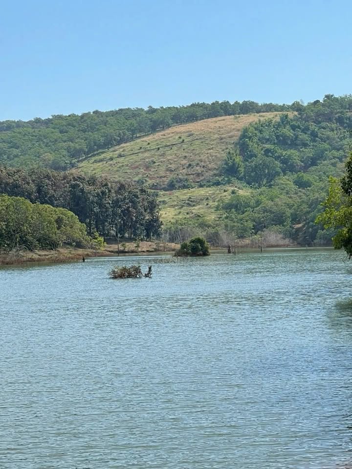 Đất nền 1,1ha Đức Liễu - Mặt tiền đường chính, giá chỉ 1,1 tỷ!