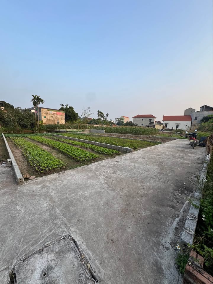 Đất nền Chương Dương, Thường Tín 56m² giá 2.75 tỷ - Vị trí tiềm năng gần dự án Vin