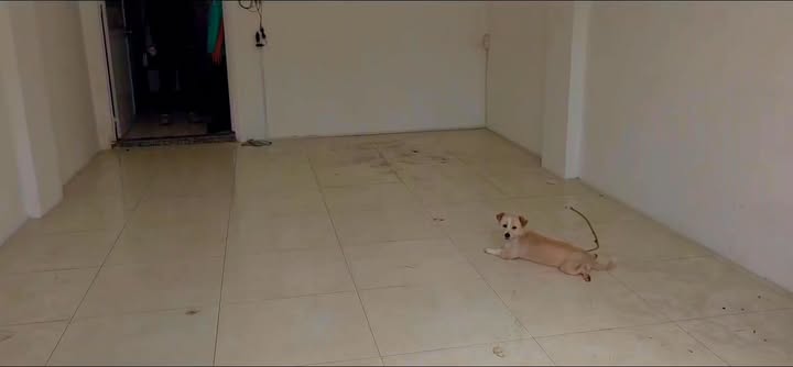 Nhà nguyên căn 2 phòng ngủ 18 triệu tại Hồ Văn Huê, Phú Nhuận - Khu vực kinh doanh sầm uất!