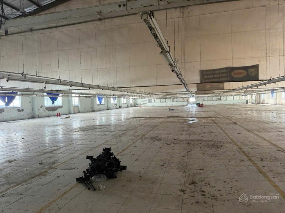 Cho thuê xưởng 32.000m² huyện Bến Lức tỉnh Long An - Giá chỉ 820 triệu!