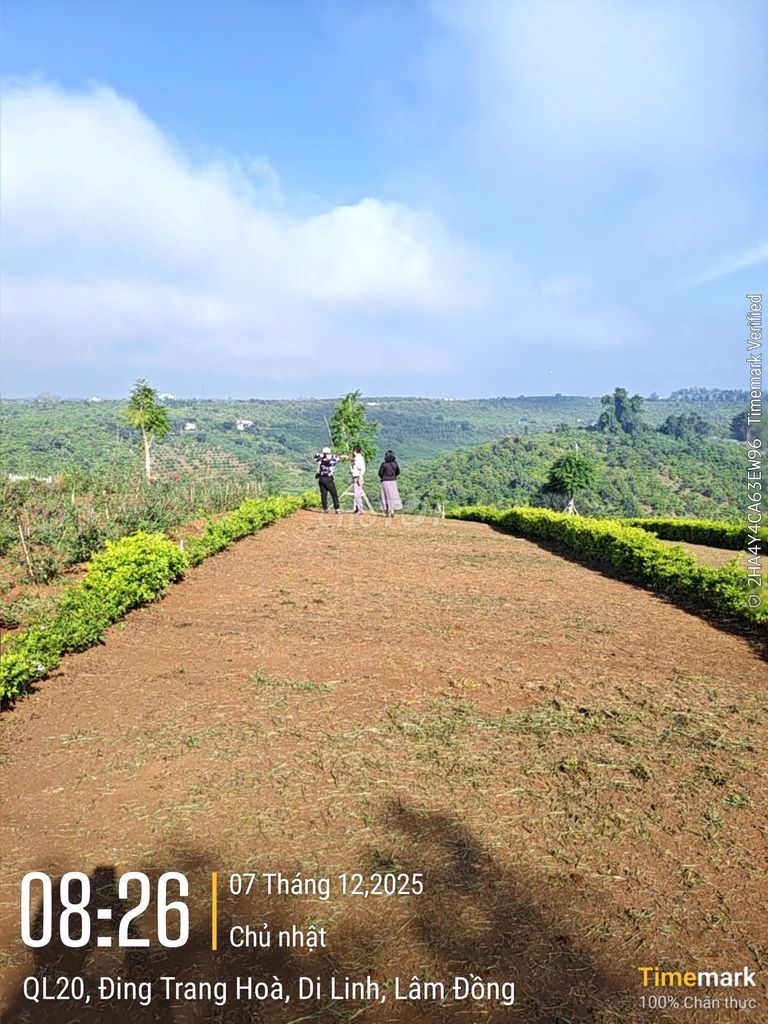 Bán lô đất MT đường nhựa 8m tại Hòa Ninh, Di Linh – Giá F0 chỉ 681 triệu!